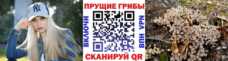 закладки  Зарайск  Галлюциногенные грибы GOLDEN TEACHER 